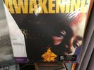Lord Finesse The Awakening Vinyl Me Please VMP Clear with Black and Gold