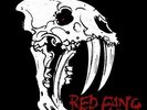 RED FANG-RED FANG VINYL NEW