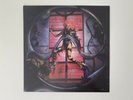 Custom Lady Gaga Chromatica Vinyl Jacket