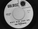 rare STAN VINCENT PRODUCED DOO-WOP the PAGEANTS 