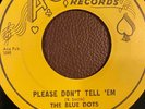 RARE 45 The Blue Dots - Please Don't Tell 'Em / Saturday Night Fish Fry (Ace 526