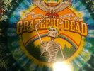 Grateful Dead Sunshine Daydream Veneta, Oregon Vinyl Record