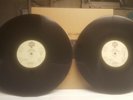 Tom Petty (Heartbreakers) Wildflowers Reissue 2Lp Analog from Box Set NO BOOTLEG