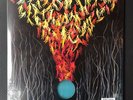 Bright Eyes 2x LP Down In The Weeds Where The World Once Was Die Cut Color Vinyl