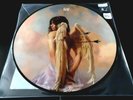 CAMILA CABELLO - LIAR/SHAMELESS  2 TRACK PICTURE DISC SINGLE VINYL 2000