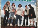 Poison Idea  - WAR ALL THE TIME - Vinyl - MADE IN ENGLAND - SOL 40