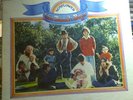The Beach Boys Sunflower LP RS 6382