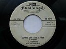 AL DOWNING 45 'DOWN ON THE FARM' USA CHALLENGE KILLER 1958 BLACK ROCKABILLY VG