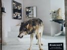 Grinderman 2 LP + poster (Nick Cave) Ex.