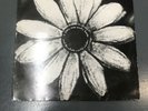 Cardiacs A Little Man And A House And The Whole World Window Vinyl LP Rare