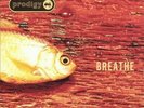 ID5870z - The Prodigy - Breathe - XLT 80 - vinyl 12 - uk