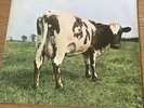 Pink Floyd Atom Heart Mother Album LP SHVL 781 Record