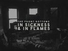 The Front Bottoms - In Sickness & In Flames Vinyl LP Grey Neu 2020