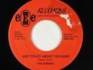 Northern Soul 45 - Embers - Just Crazy About You Baby - eEe - VG+ mp3