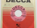 Garage Rock 45 rpm The ROVIN' FLAMES How Many Times—Love Song DECCA 32191 dj VG+