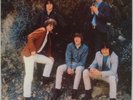 THE BYRDS: Live in Stockholm 1967 Swingin’ Pig TMOQ Green Wax Psych LP NM Vinyl