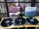 MODEST MOUSE Vinyl Records The Moon & Antarctica LP The Fruit That Ate Itself EP