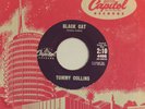 TOMMY COLLINS   Black Cat   CAPITOL 1960 ROCKABILLY ROCKER 45 VG++ HEAR