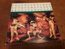 THE PRESIDENTS OF THE UNITED STATES OF AMERICA 1er ALBUM 33T ORIGINAL 1995