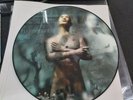 IN FLAMES  Reroute To Remain Picture Disc Vinyl LP 2002 Alternative Metal
