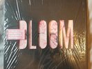 lewis capaldi Signed Bloom Vinyl Photo proof