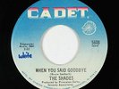 Northern Soul/Garage Fuzz 45 - Shades - When You Said Goodbye - Cadet - mp3