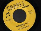 (Hear) 1967 The Collegiates West Virginia Garage Soul 45 (Raindrops)