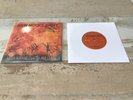 New Model Army Never Arriving / Watch And Learn  SIGNED Autographed 7” Vinyl new