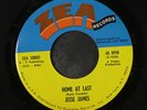 JESSE JAMES: I Need You Baby / Home At Last 45 Soul