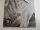 Black Moth Super Rainbow - Eating Us Vinyl  Gray Colored LP W/ Download