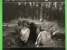 Bilskirnir Atavismus Des Glaubens LP FOC Der Sturmer Goatmoon Moonblood  Vothana
