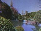 Catsystem Corp. - Lofi Vinyl LP NEU 0353865