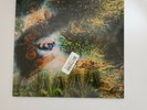 Pink Floyd - A Saucerful Of Secrets Vinyl 180 Gram LP