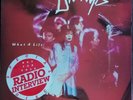 Divinyls - Radio Interview To Promote What A Life LP. 1985 Aussie 12