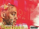 STOVE GOD COOKS - Reasonable Drought - Vinyl (LP)