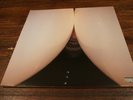DEATH GRIPS - Bottomless Pit LP - Black Vinyl Album Record Hardcore Hip Hop