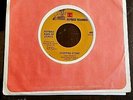 Jimi Hendrix - Stepping Stone/Izabella 45 w/jukebox strip Reprise 0905 VG+