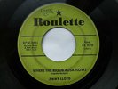 JIMMY LLOYD 45 'WHERE THE RIO DE ROSA FLOWS' USA ROULETTE 1957 ROCKABILLY VG-