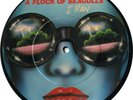 A FLOCK OF SEAGULLS - I Ran  - Rare PICTURE DISC - 45rpm 7