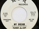 SUNNY & SUNLINERS My Dream / Hip Huggin Mini RPR 45 sweet soul funk NM HEAR