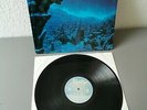 SAVATAGE original Vinyl LP Dead Winter Dead (1995 FM Records)