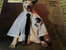 Rick Springfield - Working Class Dog (Vinyl) - MOV Edition - Sealed