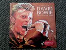 In Memory Of David Bowie Red Vinyl