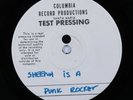 Punk 45 RAMONES Sheena Is A Punk Rocker VG+ test pressing HEAR