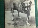 ORIG 1995 ALICE IN CHAINS ST TRIPOD DOG LP VINYL 2 RECORD SET RARE