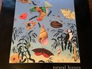 Natural History - The Very Best of Talk Talk,  1990 Original 1st Press Rare