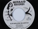 Teen Folk 45 MASCOTS Blue Birds Over The Mountain MERMAID VG+ HEAR