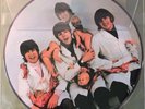 THE BEATLES YESTERDAY AND TODAY  LP PICTURE DISC