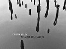 KRISTIN HERSH-Possible Dust Clouds (Coloured Vinyl) (UK IMPORT) VINYL NEW