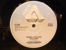 Alison Limerick - Where Love Lives (Sauna Mix) 12